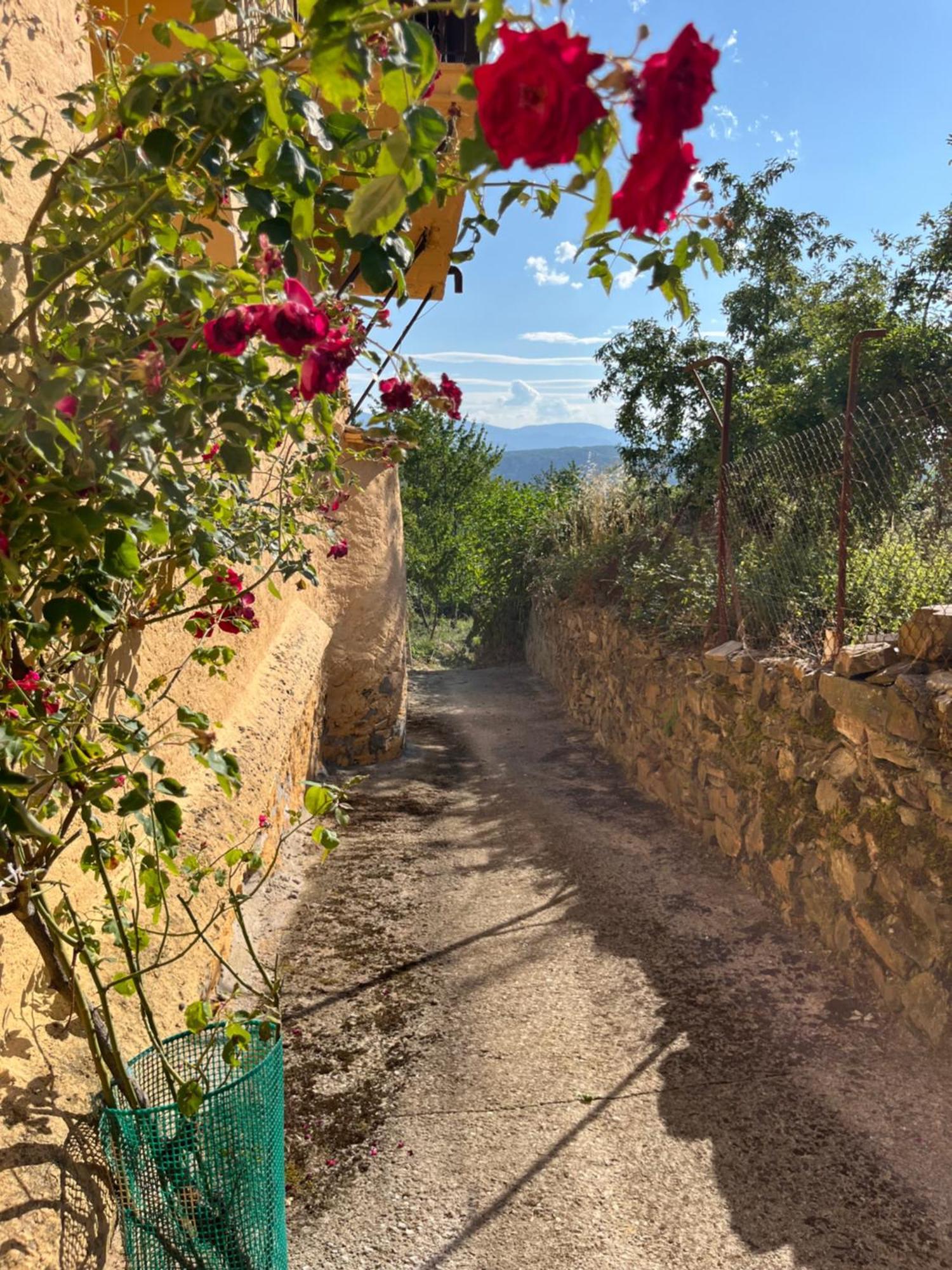 La Casina De Gelo Villa Riego de Ambros Bagian luar foto